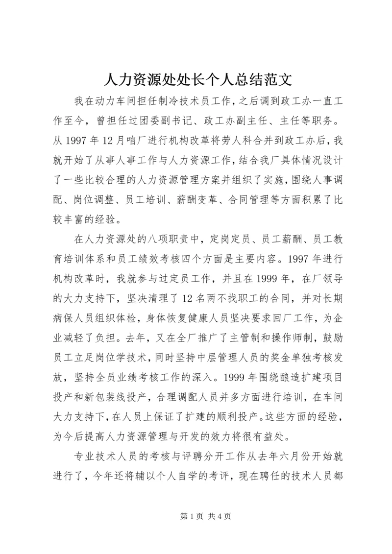 人力资源处处长个人总结范文.docx