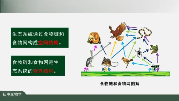 1.2.2 生物与环境组成生态系统 课件（共25张PPT）