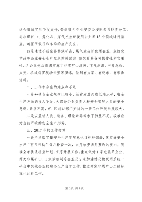 乡镇安监站工作总结.docx