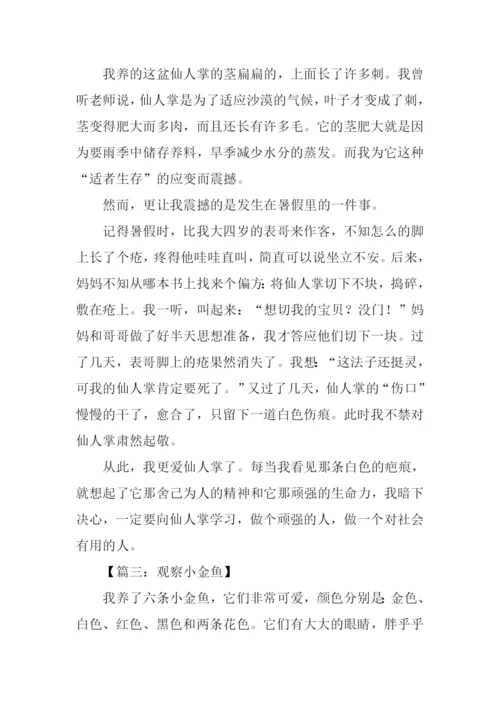 四年级作文观察日记.docx