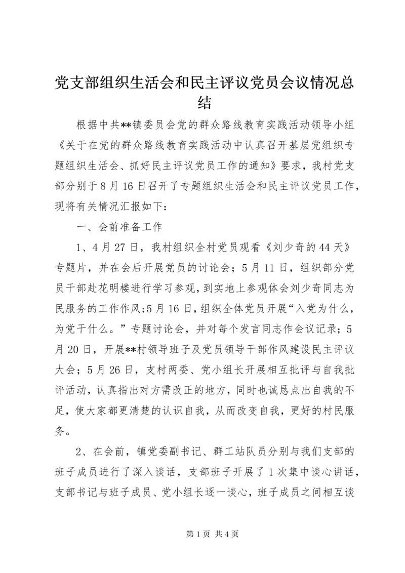 党支部组织生活会和民主评议党员会议情况总结.docx