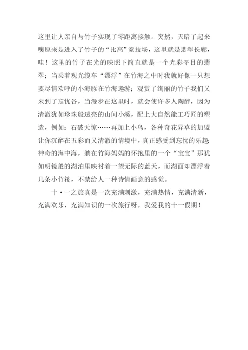 十一作文00.docx