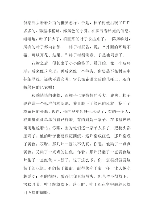 描写柿子树的作文.docx