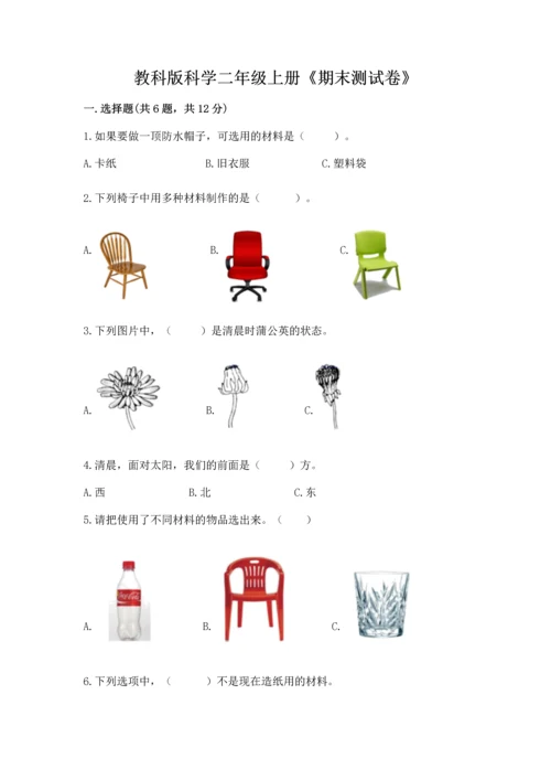 教科版科学二年级上册《期末测试卷》a4版.docx