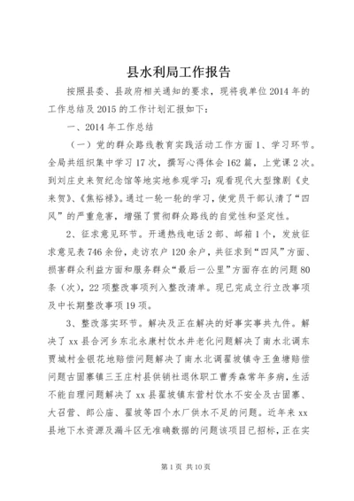 县水利局工作报告 (4).docx