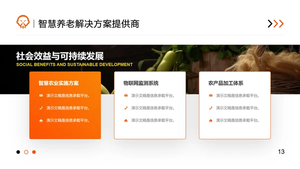 橙色商务风智慧养老商业计划书PPT模板