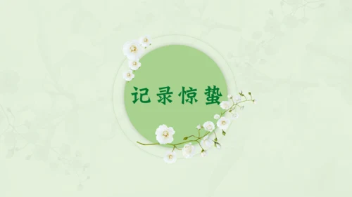 惊蛰淡绿色二十四节气实践教学课件通用PPT模板