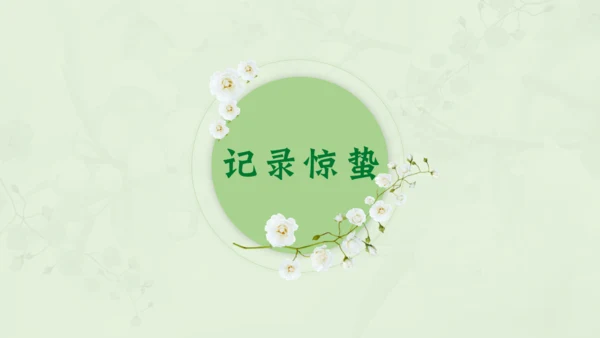 惊蛰淡绿色二十四节气实践教学课件通用PPT模板