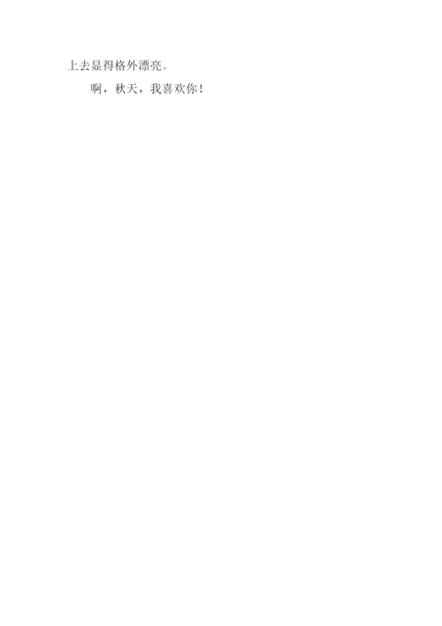 写秋天景色的作文200字.docx