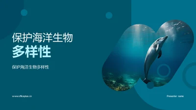 保护海洋生物多样性