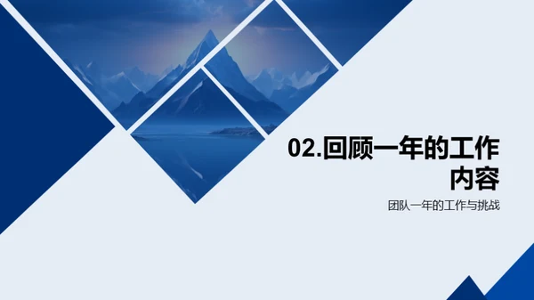 团队年度成就与展望