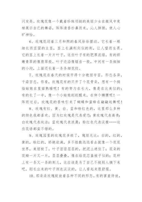 形容玫瑰花的唯美句子_3.docx