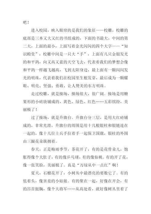 关于校园的作文800字.docx