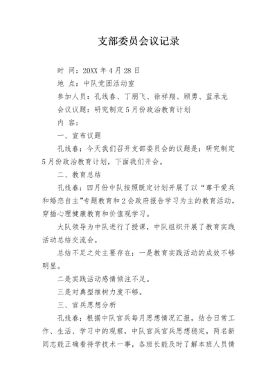 支部委员会议记录.docx