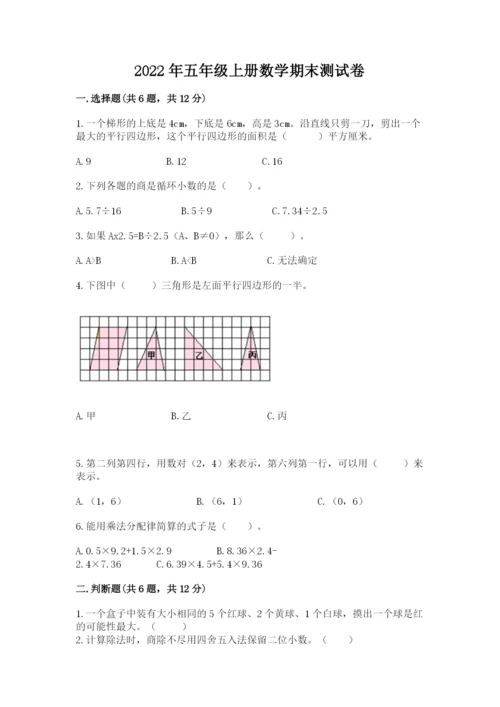 2022年五年级上册数学期末测试卷（典优）.docx