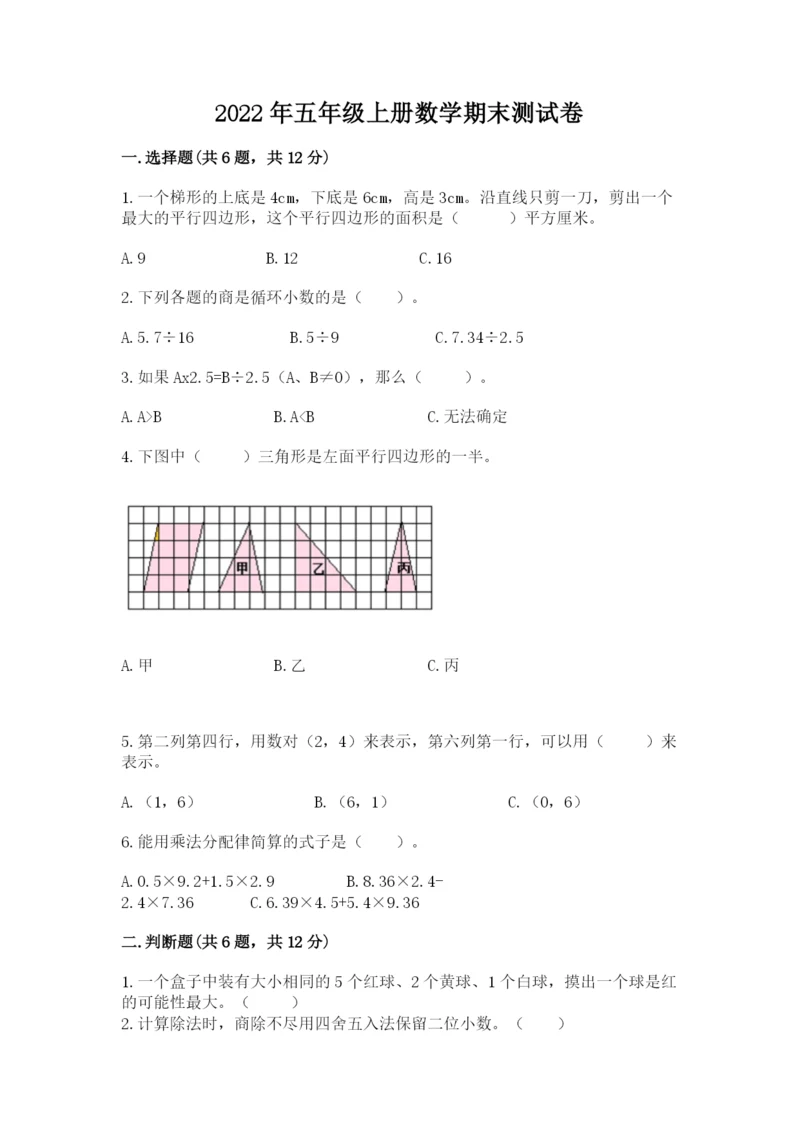 2022年五年级上册数学期末测试卷（典优）.docx