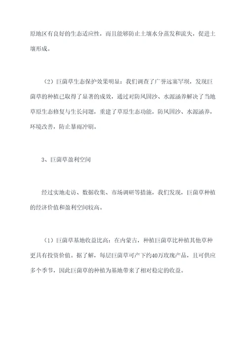 巨菌草种植调研报告