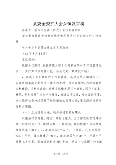 县委全委扩大会乡镇发言稿.docx