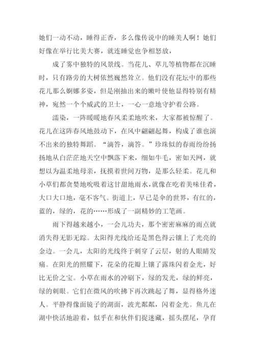 寻找春天的足迹作文800字.docx