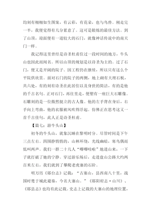 游武义牛头山作文.docx