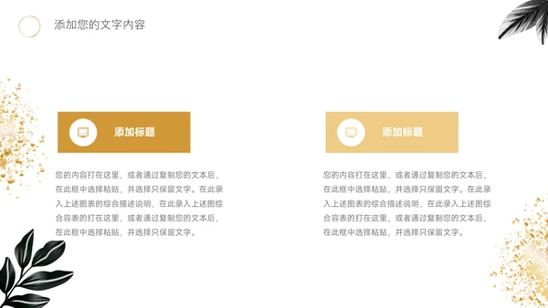 黑金文艺高端短视频运营教程PPT模板