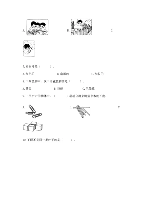 教科版一年级上册科学期末测试卷a4版.docx