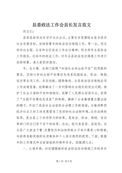 县委政法工作会县长发言范文.docx