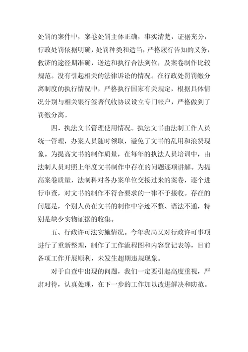 工商局行政处罚案卷自查报告