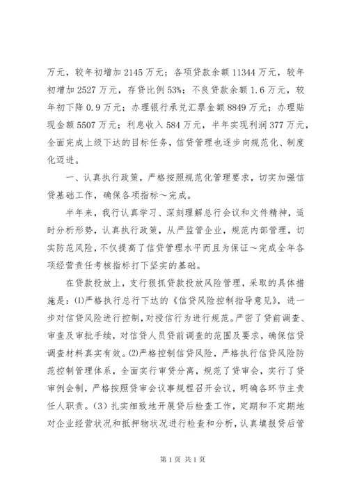 银行信贷工作总结 (7).docx