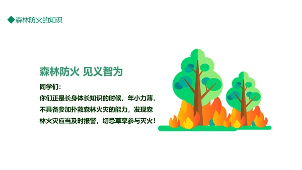 平安清明森林防火知识班会通用PPT模板