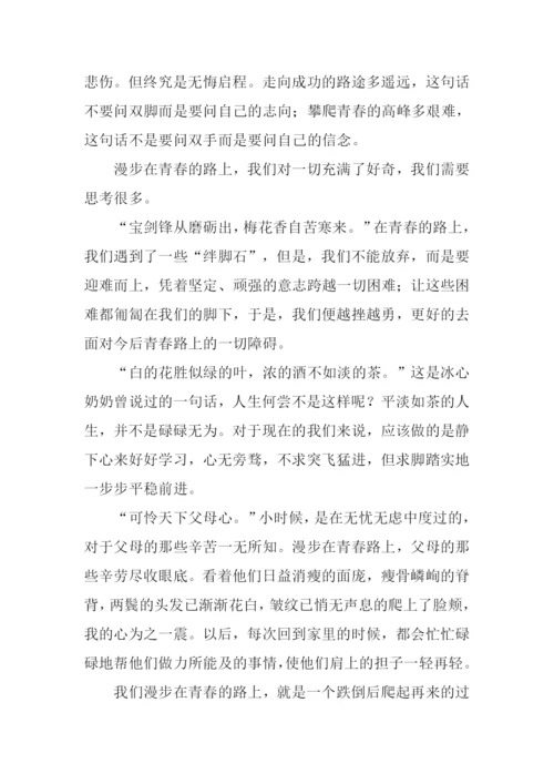 坎坷的青春路作文800字.docx