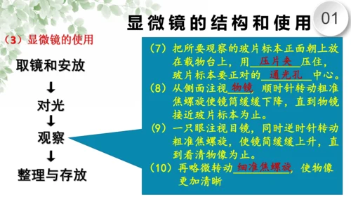 第一章 细胞是生命活动的基本单位（复习课件）-2023-2024学年七年级生物上学期期末复习知识梳理