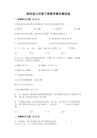 肥西县六年级下册数学期末测试卷及一套参考答案.docx