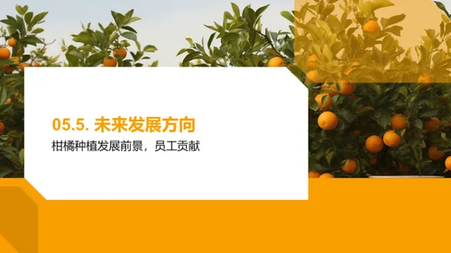 柑橘产业：未来之路