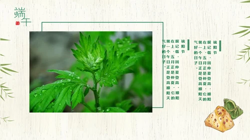 端午节中国文化粽子通用PPT模板