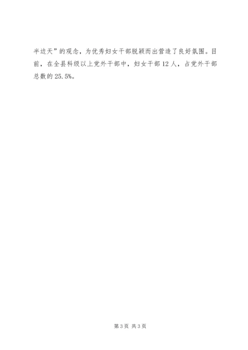 党外干部队伍建设思考.docx