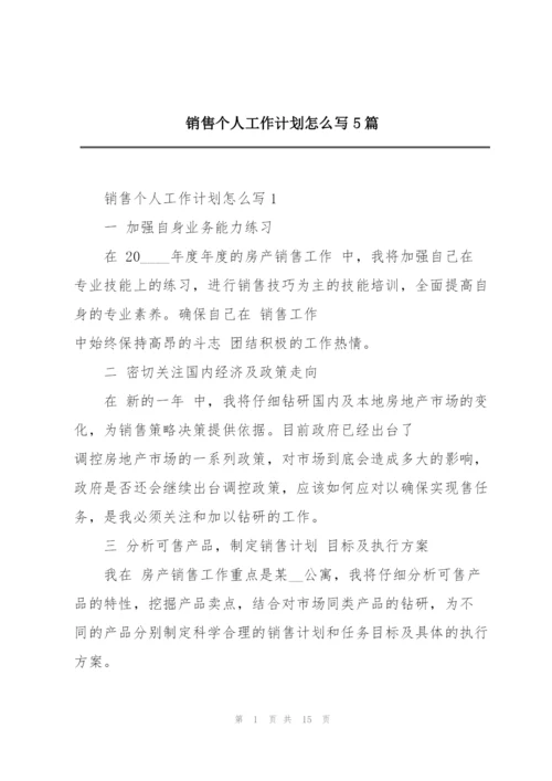 销售个人工作计划怎么写5篇.docx