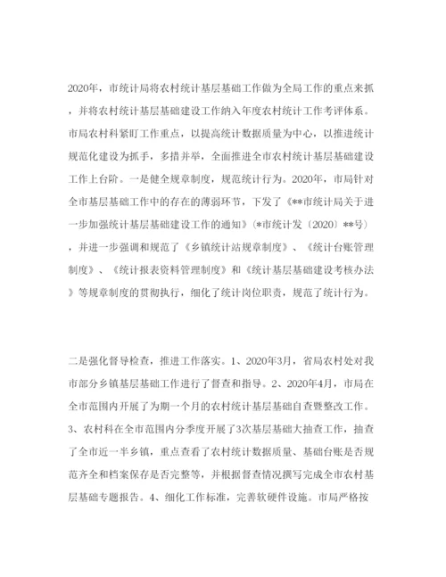 精编年市农村统计工作报告范文.docx