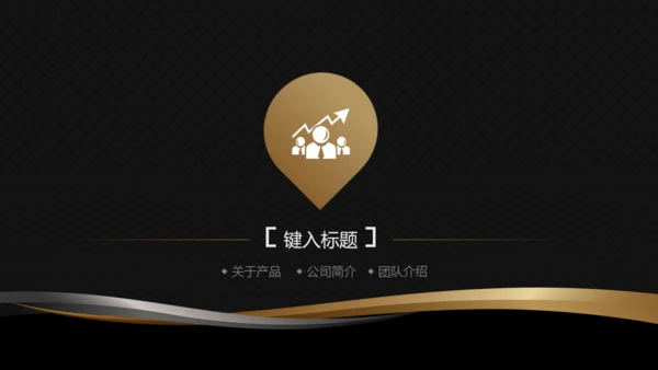 高端黑金商务商业计划书通用PPT模版