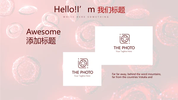 红细胞血小板动态PPT