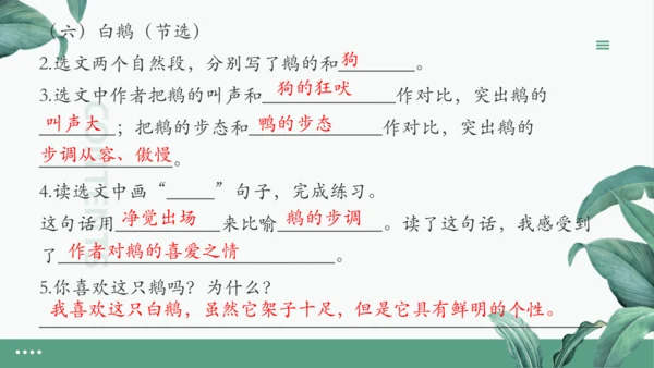 统编版四年级下册期末复习：语文课内阅读专项 练习课件