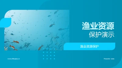 渔业资源保护演示