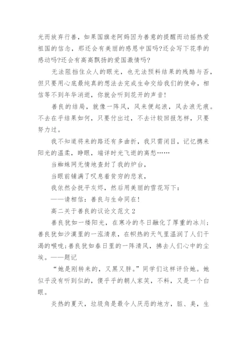 高二关于善良的议论文范文8篇精编.docx
