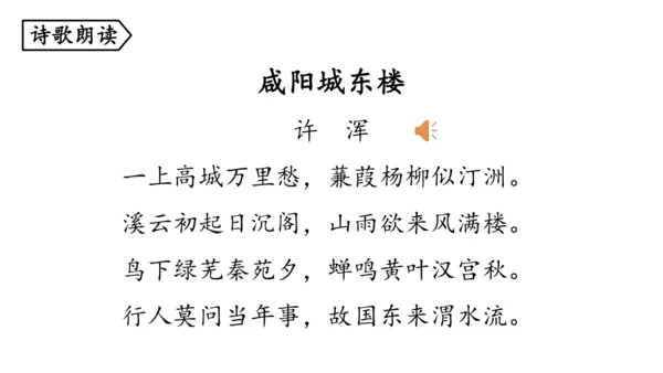 部编版九年级语文上册  第六单元 课外古诗词诵读（二）课件(共67张PPT)