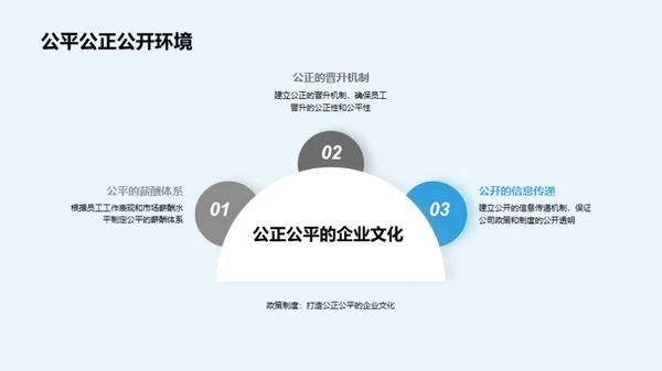 深度解析公司政策