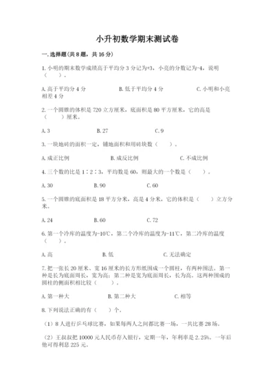 小升初数学期末测试卷【典型题】.docx