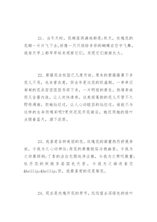 描写鲜花优美的句子.docx