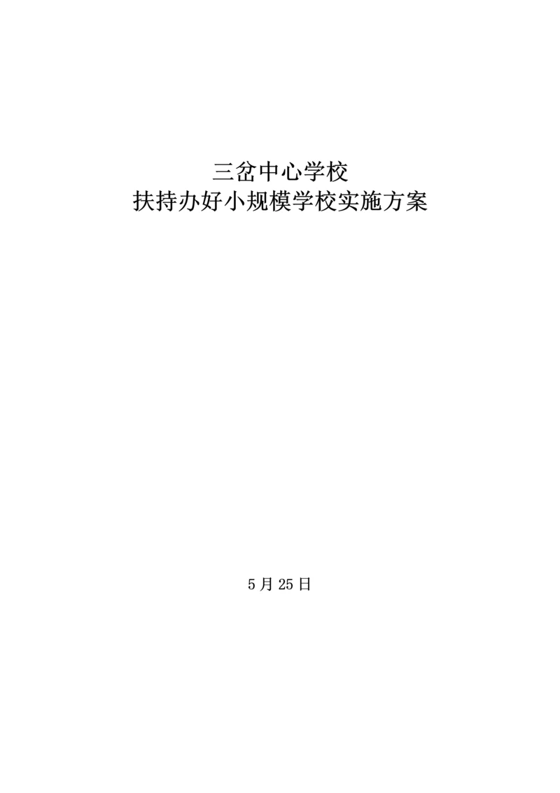 三岔中心学校扶持小规模学校实施专业方案.docx