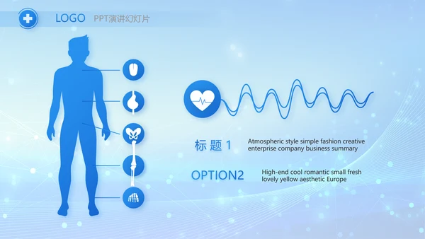 蓝色智慧医疗信息化建设工作总结PPT