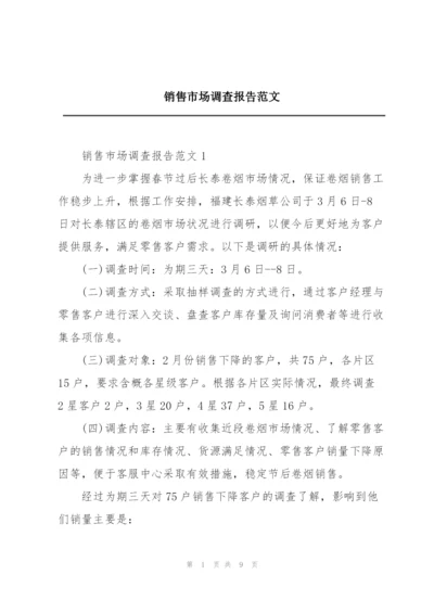 销售市场调查报告范文.docx